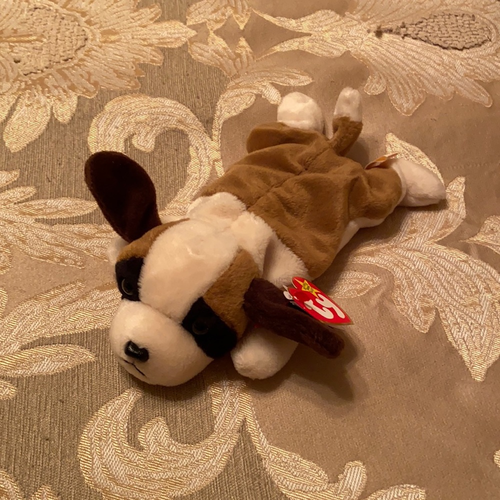 TY Beanie Baby - “Bernie” - Picture 1 of 5